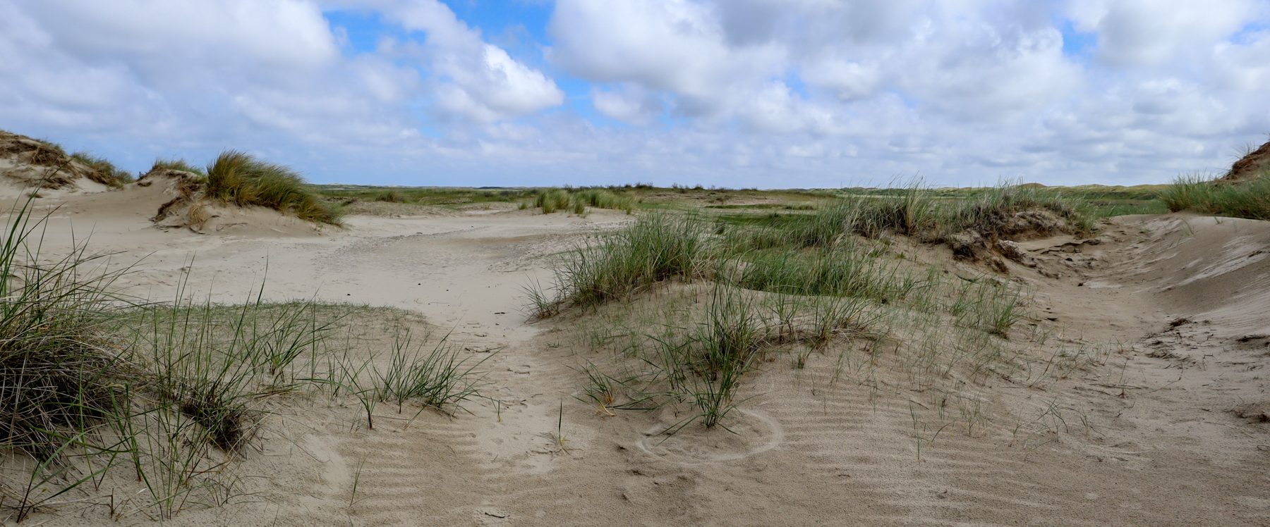 Duinlandschap